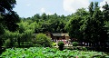 長(zhǎng)沙出發(fā)到花明樓、韶山、張家界國(guó)家森林公園、天門(mén)仙山國(guó)家森林公園四日游